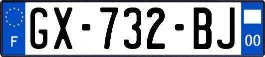 GX-732-BJ