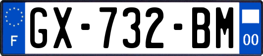 GX-732-BM