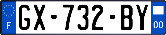 GX-732-BY