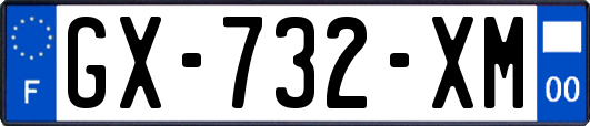 GX-732-XM