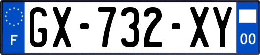 GX-732-XY