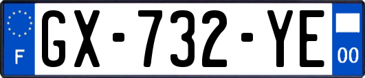GX-732-YE