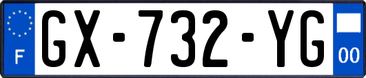 GX-732-YG