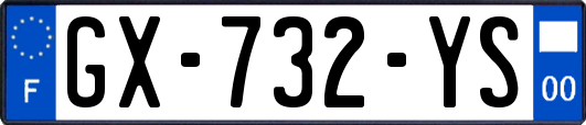 GX-732-YS