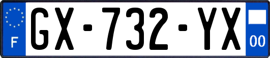 GX-732-YX