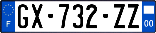 GX-732-ZZ