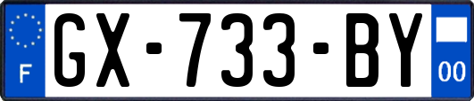 GX-733-BY