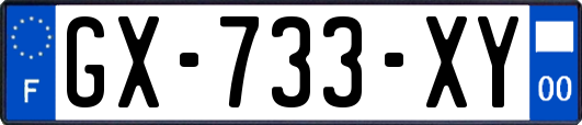 GX-733-XY