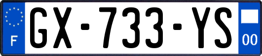 GX-733-YS