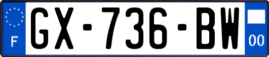 GX-736-BW
