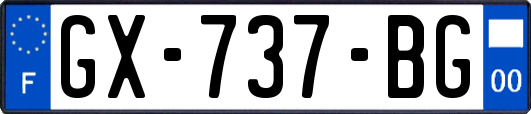 GX-737-BG