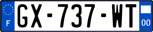 GX-737-WT