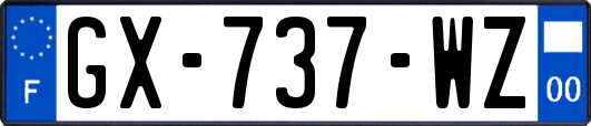 GX-737-WZ