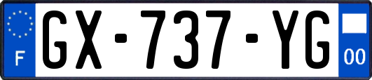 GX-737-YG