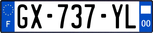 GX-737-YL
