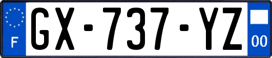 GX-737-YZ