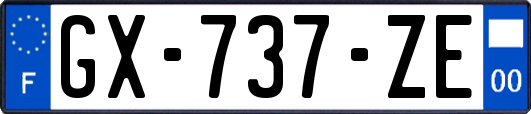 GX-737-ZE