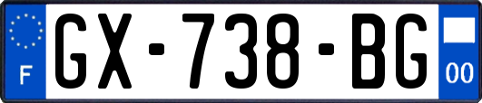GX-738-BG