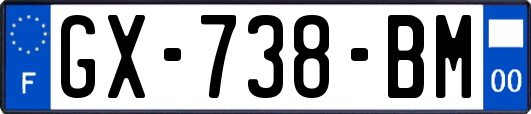 GX-738-BM