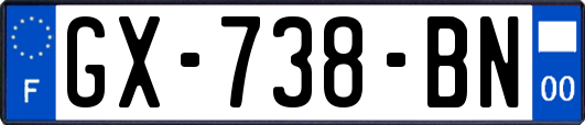 GX-738-BN