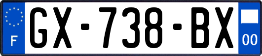 GX-738-BX