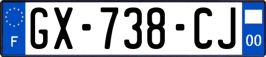 GX-738-CJ
