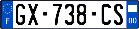 GX-738-CS
