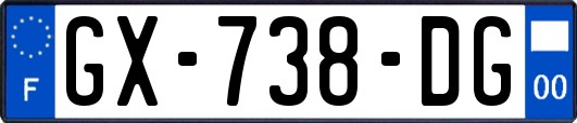 GX-738-DG