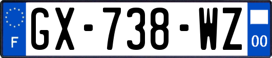 GX-738-WZ