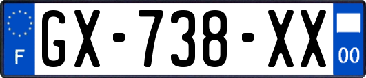 GX-738-XX