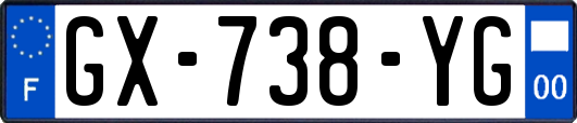 GX-738-YG