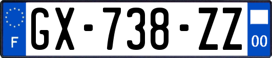 GX-738-ZZ