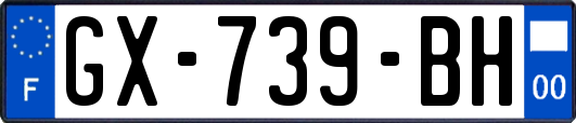 GX-739-BH