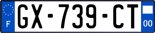 GX-739-CT