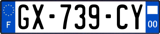 GX-739-CY