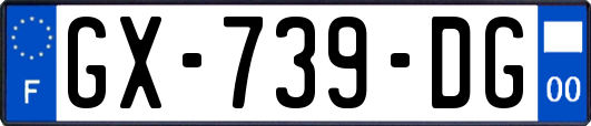 GX-739-DG
