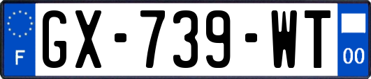 GX-739-WT