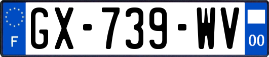 GX-739-WV