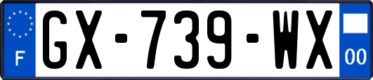 GX-739-WX