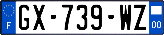GX-739-WZ