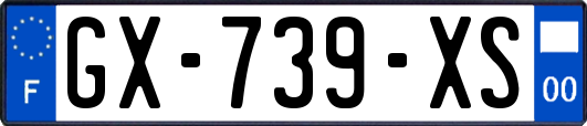 GX-739-XS