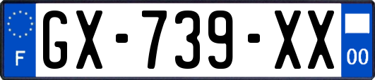 GX-739-XX