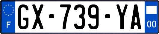 GX-739-YA