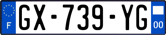 GX-739-YG