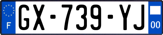 GX-739-YJ