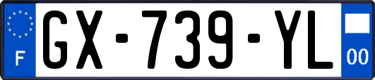 GX-739-YL