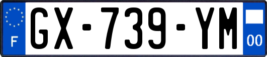 GX-739-YM