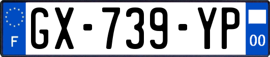 GX-739-YP