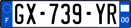 GX-739-YR