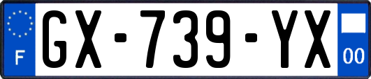 GX-739-YX